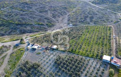 ALİAĞA BOZKÖY'DE SATILIK 4,397 M2 TARLA