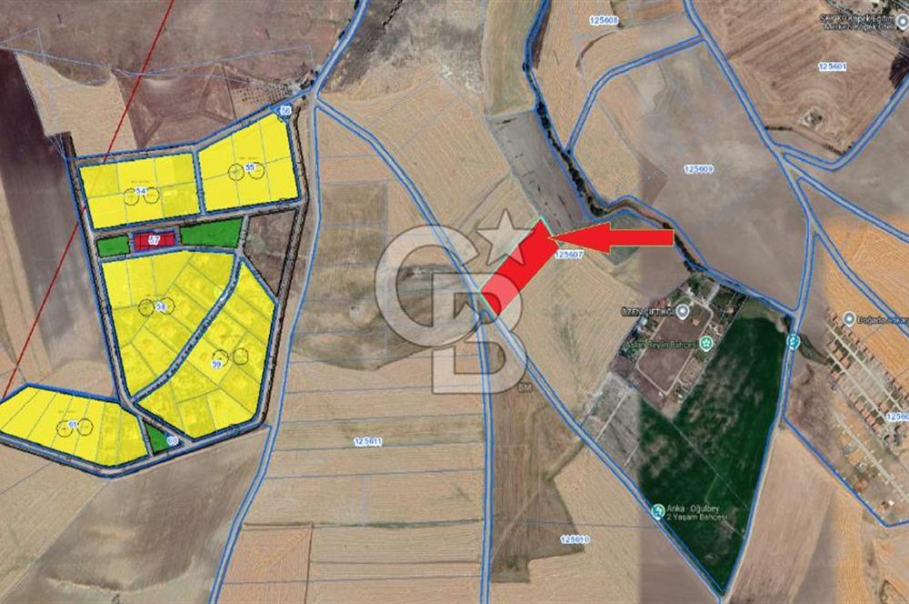 ANKARA /GÖLBAŞI / OĞULBEY MAHALLESİNDE SATILIK 7421 M² SATILIK TARLA
