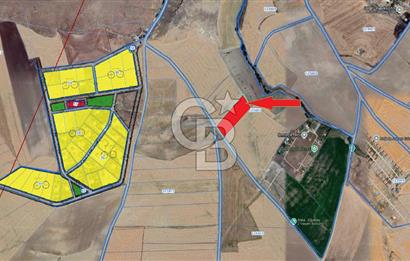 ANKARA /GÖLBAŞI / OĞULBEY MAHALLESİNDE SATILIK 7421 M² SATILIK TARLA