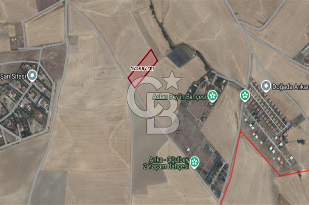 ANKARA /GÖLBAŞI / OĞULBEY MAHALLESİNDE SATILIK 7421 M² SATILIK TARLA