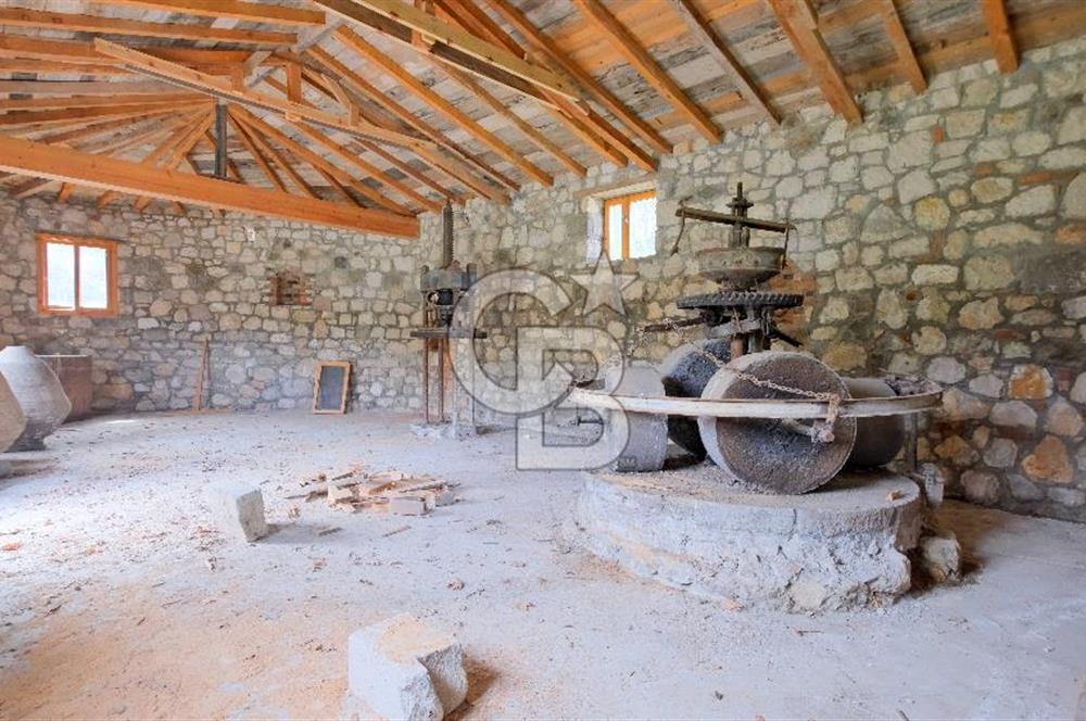 Tarih ve Doğanın İçinde Özel Mülk: Saip Yağhanesi