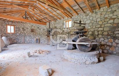 Tarih ve Doğanın İçinde Özel Mülk: Saip Yağhanesi