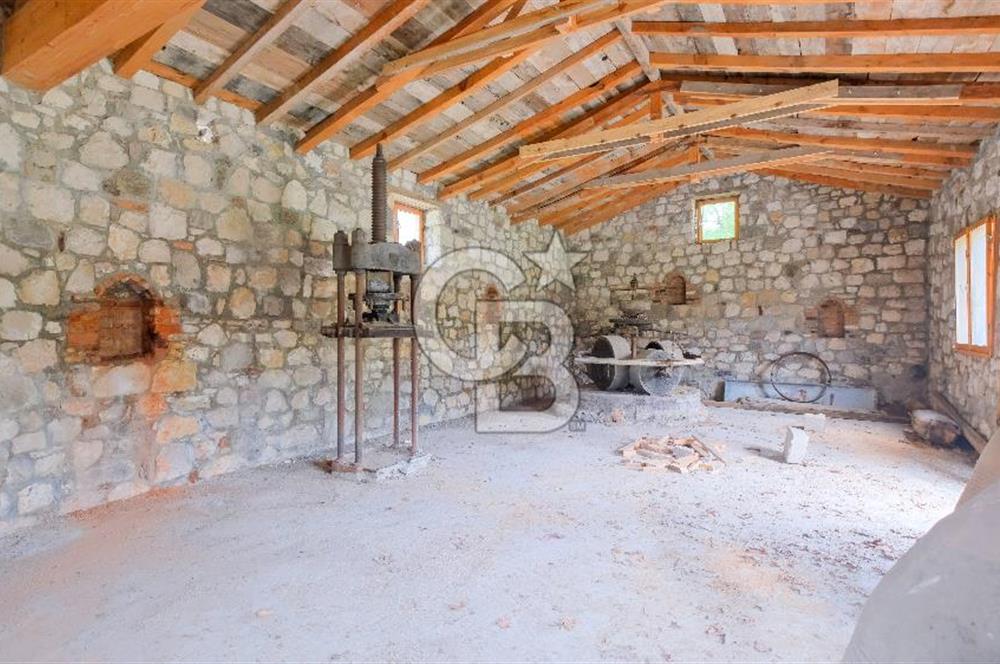 Tarih ve Doğanın İçinde Özel Mülk: Saip Yağhanesi