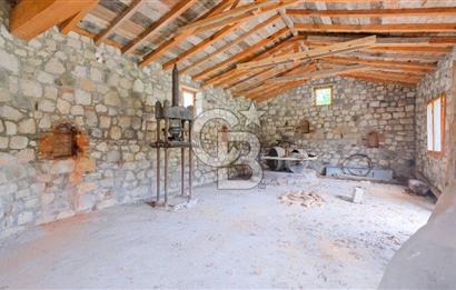 Tarih ve Doğanın İçinde Özel Mülk: Saip Yağhanesi