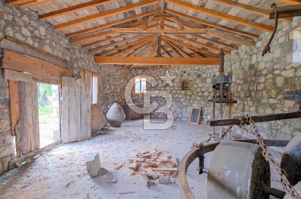 Tarih ve Doğanın İçinde Özel Mülk: Saip Yağhanesi