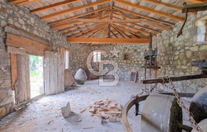 Tarih ve Doğanın İçinde Özel Mülk: Saip Yağhanesi