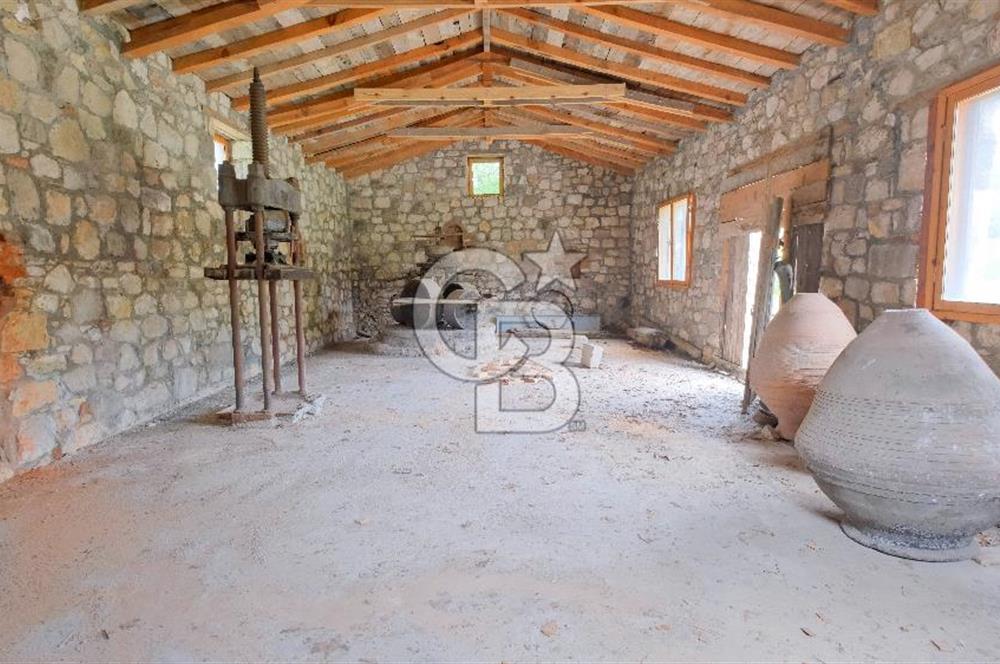 Tarih ve Doğanın İçinde Özel Mülk: Saip Yağhanesi