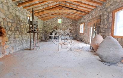 Tarih ve Doğanın İçinde Özel Mülk: Saip Yağhanesi