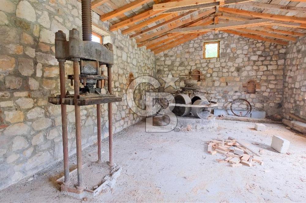 Tarih ve Doğanın İçinde Özel Mülk: Saip Yağhanesi