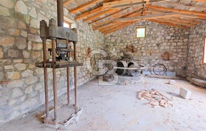 Tarih ve Doğanın İçinde Özel Mülk: Saip Yağhanesi