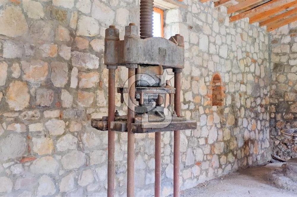 Tarih ve Doğanın İçinde Özel Mülk: Saip Yağhanesi