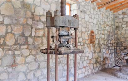 Tarih ve Doğanın İçinde Özel Mülk: Saip Yağhanesi