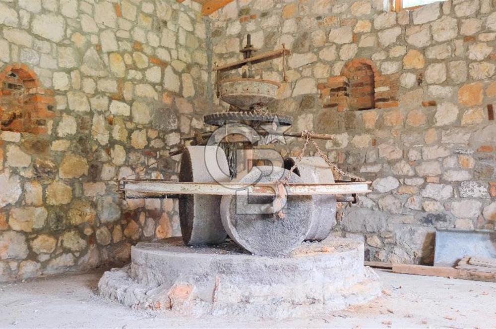 Tarih ve Doğanın İçinde Özel Mülk: Saip Yağhanesi