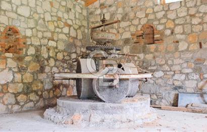 Tarih ve Doğanın İçinde Özel Mülk: Saip Yağhanesi