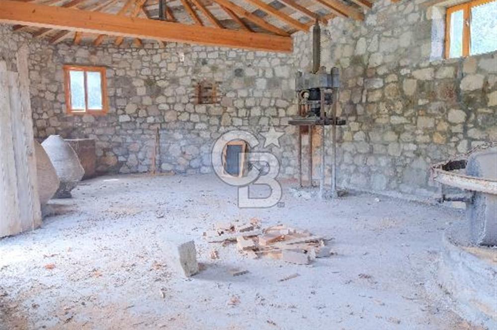 Tarih ve Doğanın İçinde Özel Mülk: Saip Yağhanesi