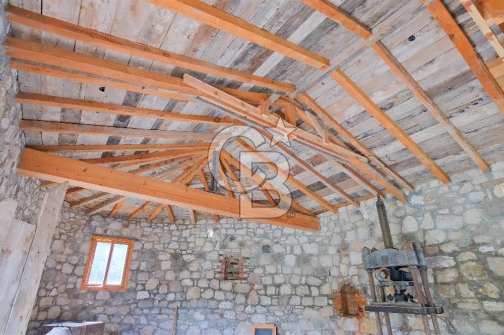 Tarih ve Doğanın İçinde Özel Mülk: Saip Yağhanesi