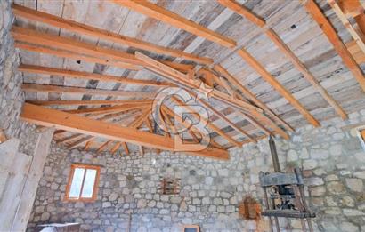 Tarih ve Doğanın İçinde Özel Mülk: Saip Yağhanesi