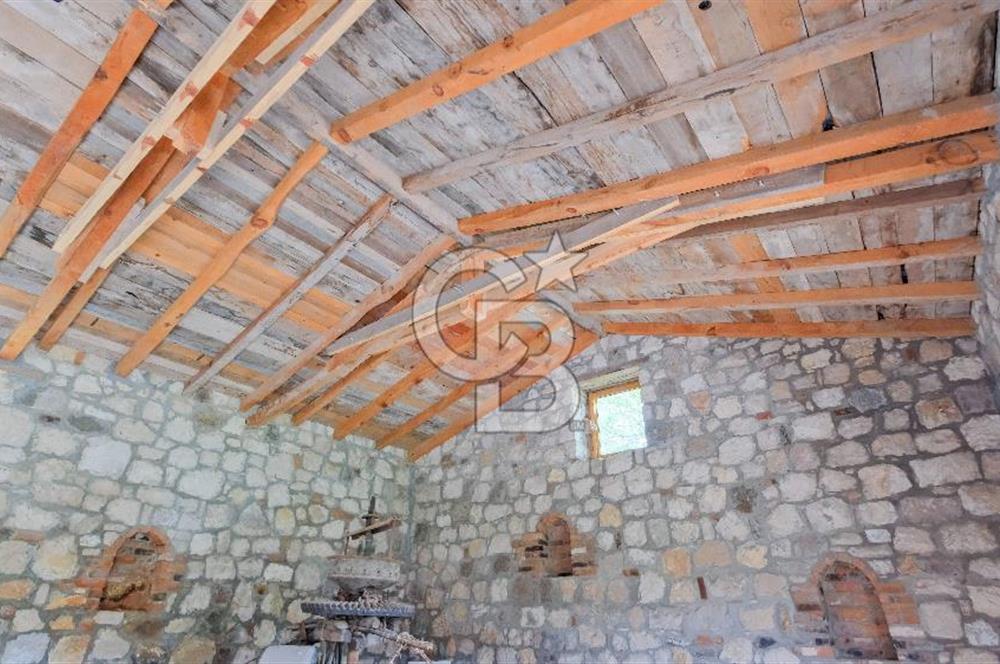 Tarih ve Doğanın İçinde Özel Mülk: Saip Yağhanesi