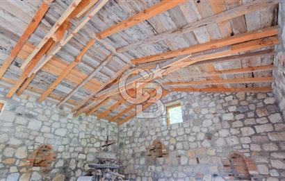 Tarih ve Doğanın İçinde Özel Mülk: Saip Yağhanesi