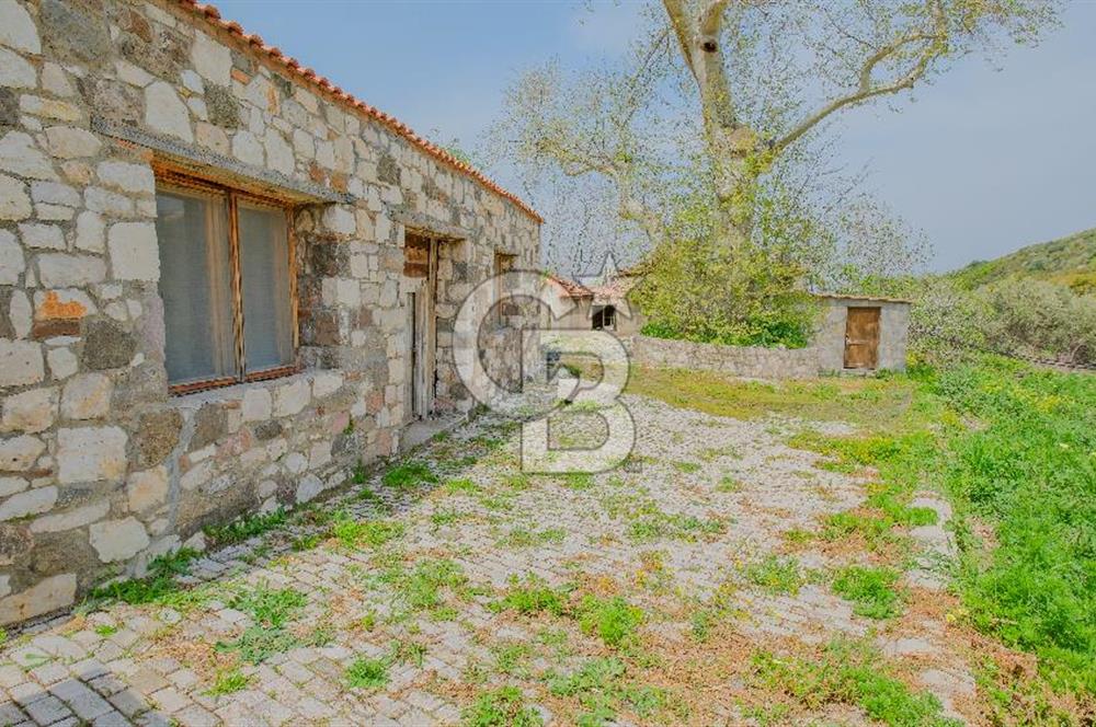 Tarih ve Doğanın İçinde Özel Mülk: Saip Yağhanesi