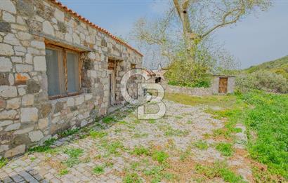 Tarih ve Doğanın İçinde Özel Mülk: Saip Yağhanesi