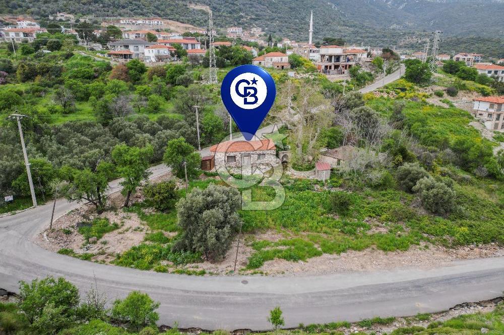 Tarih ve Doğanın İçinde Özel Mülk: Saip Yağhanesi