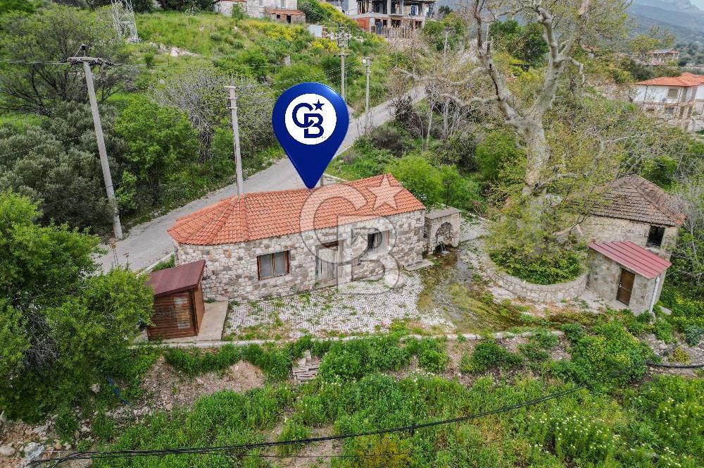 Tarih ve Doğanın İçinde Özel Mülk: Saip Yağhanesi