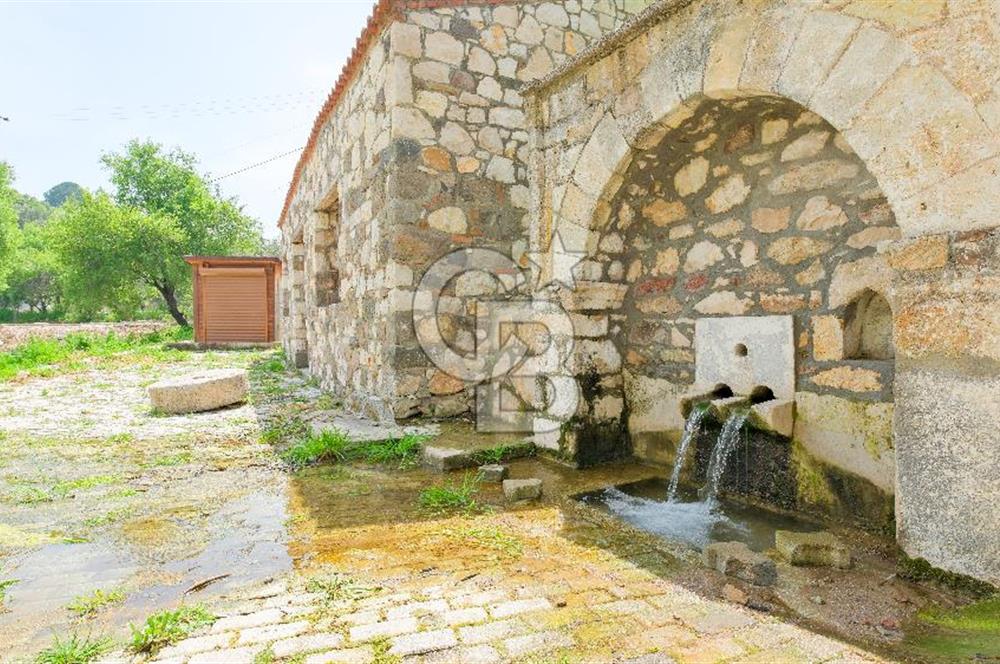 Tarih ve Doğanın İçinde Özel Mülk: Saip Yağhanesi