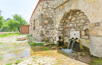 Tarih ve Doğanın İçinde Özel Mülk: Saip Yağhanesi