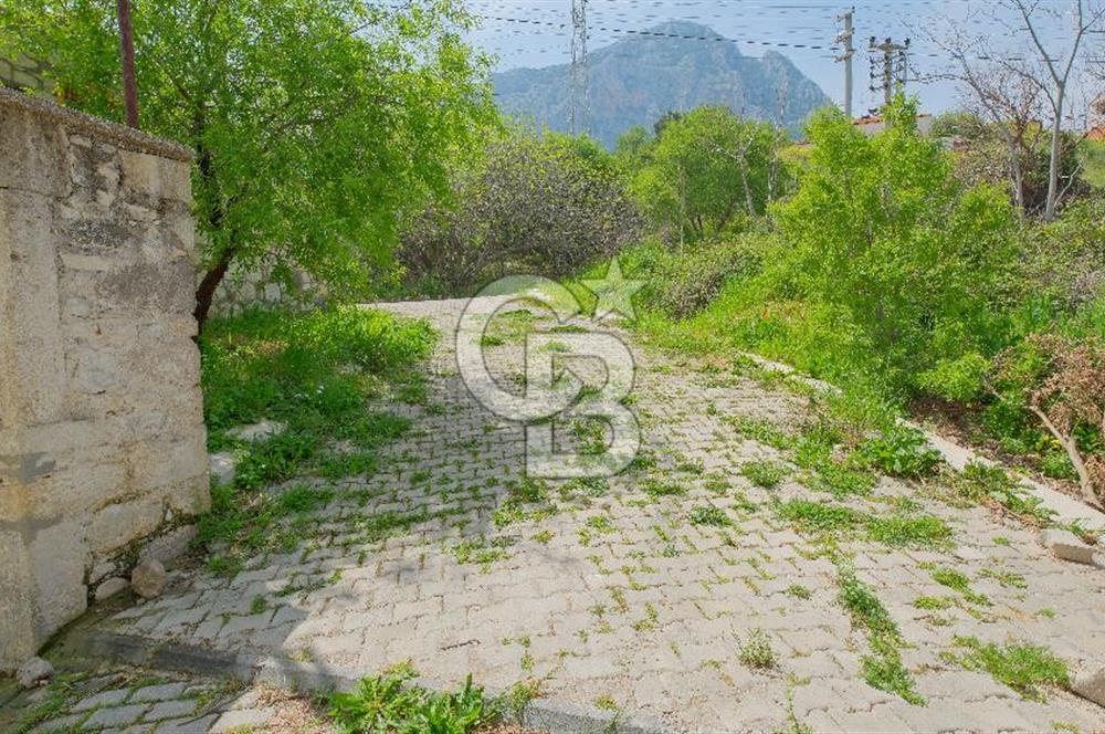 Tarih ve Doğanın İçinde Özel Mülk: Saip Yağhanesi