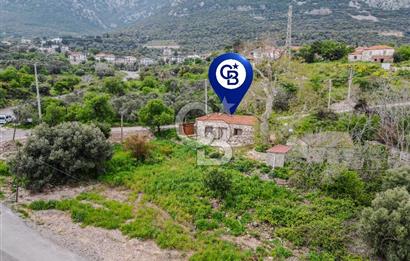 Tarih ve Doğanın İçinde Özel Mülk: Saip Yağhanesi