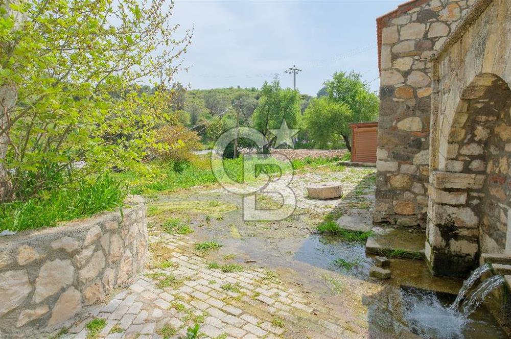 Tarih ve Doğanın İçinde Özel Mülk: Saip Yağhanesi