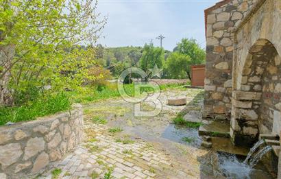 Tarih ve Doğanın İçinde Özel Mülk: Saip Yağhanesi