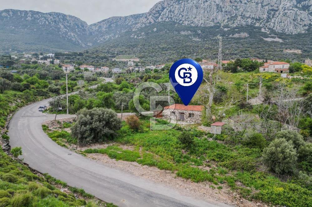 Tarih ve Doğanın İçinde Özel Mülk: Saip Yağhanesi