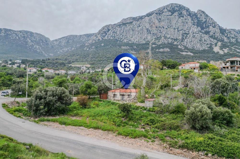 Tarih ve Doğanın İçinde Özel Mülk: Saip Yağhanesi