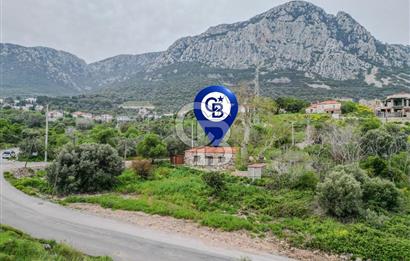 Tarih ve Doğanın İçinde Özel Mülk: Saip Yağhanesi