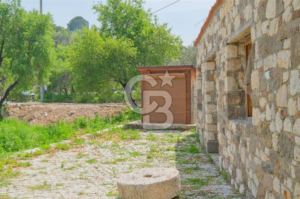 Tarih ve Doğanın İçinde Özel Mülk: Saip Yağhanesi