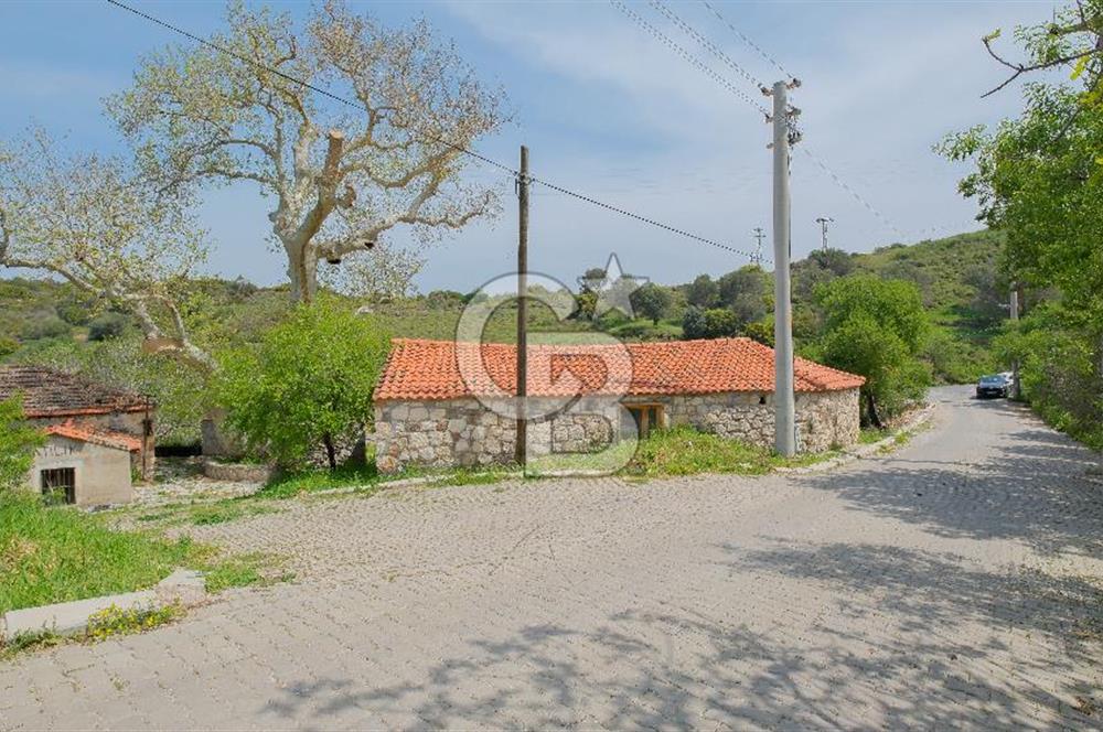 Tarih ve Doğanın İçinde Özel Mülk: Saip Yağhanesi