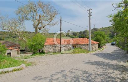 Tarih ve Doğanın İçinde Özel Mülk: Saip Yağhanesi