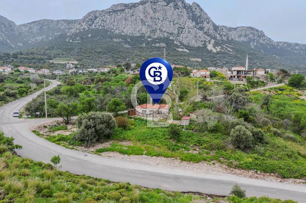 Tarih ve Doğanın İçinde Özel Mülk: Saip Yağhanesi