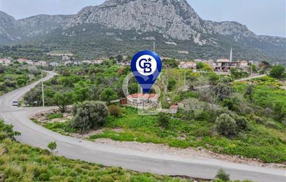 Tarih ve Doğanın İçinde Özel Mülk: Saip Yağhanesi