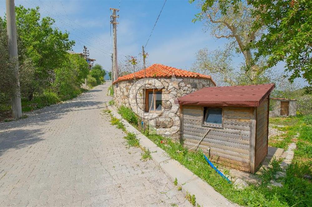 Tarih ve Doğanın İçinde Özel Mülk: Saip Yağhanesi