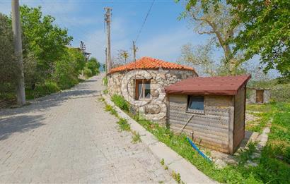 Tarih ve Doğanın İçinde Özel Mülk: Saip Yağhanesi