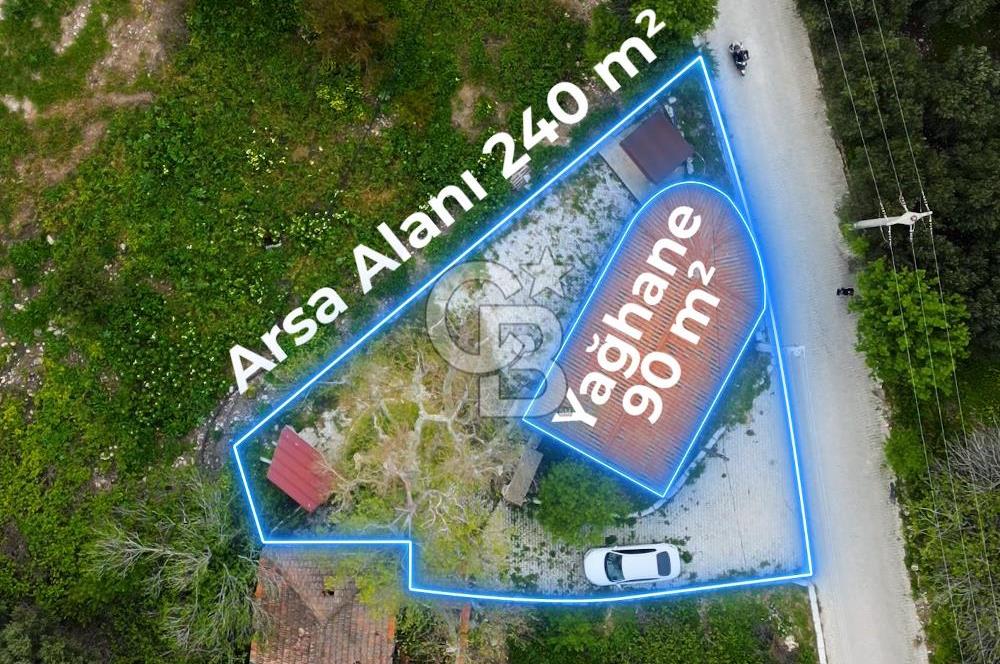 Tarih ve Doğanın İçinde Özel Mülk: Saip Yağhanesi