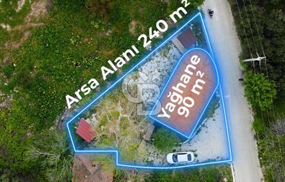 Tarih ve Doğanın İçinde Özel Mülk: Saip Yağhanesi