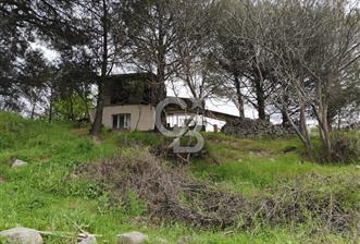 İZMİR BERGAMA KOZAK KARAVELİLERDE 441m² ARSA MÜSTAKİL EV - 7 - 346195