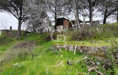 İZMİR BERGAMA KOZAK KARAVELİLERDE 441m² ARSA MÜSTAKİL EV