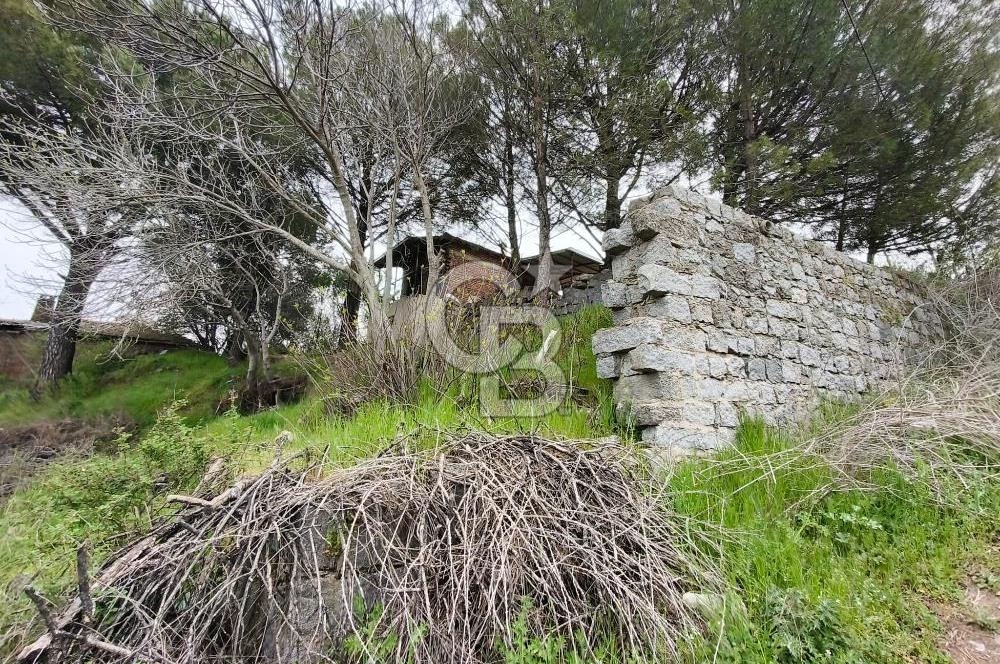 İZMİR BERGAMA KOZAK KARAVELİLERDE 441m² ARSA MÜSTAKİL EV