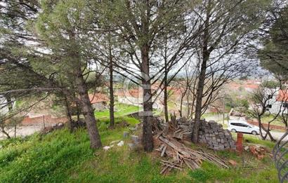 İZMİR BERGAMA KOZAK KARAVELİLERDE 441m² ARSA MÜSTAKİL EV