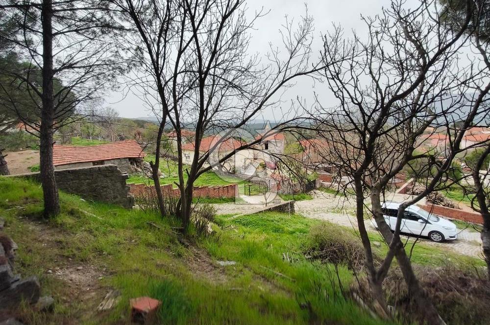 İZMİR BERGAMA KOZAK KARAVELİLERDE 441m² ARSA MÜSTAKİL EV